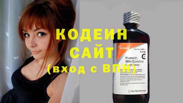 индика Семилуки