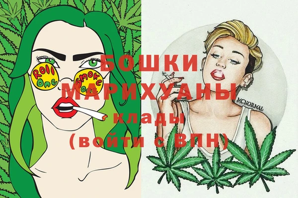 индика Семилуки