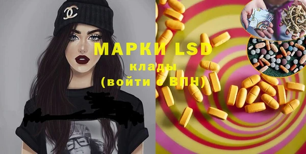 индика Семилуки