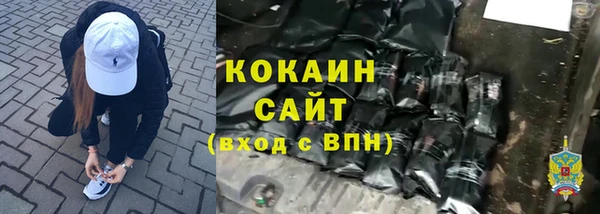 амф Краснослободск