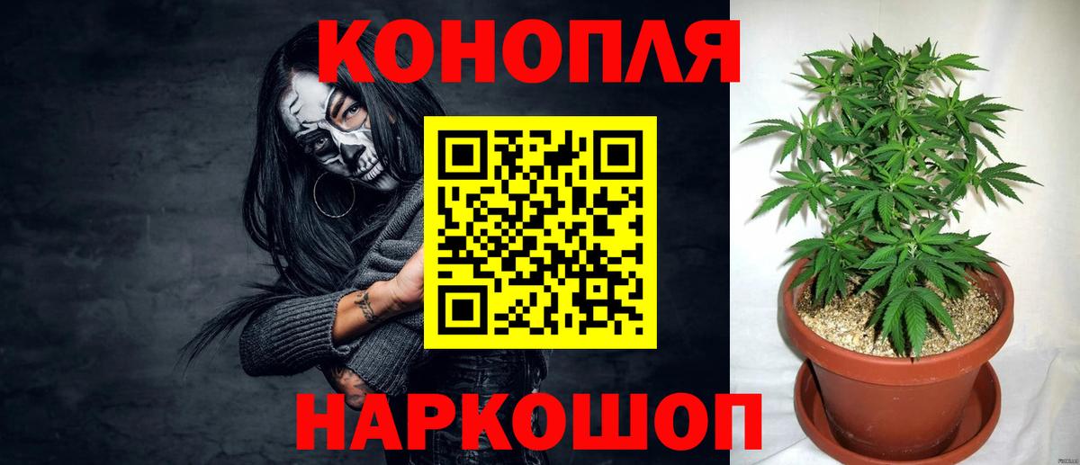 Каннабис OG Kush  Конопля AK-47  Красный Сулин  Марихуана ГИДРОПОН  Марихуана планчик  Вход с VPN 